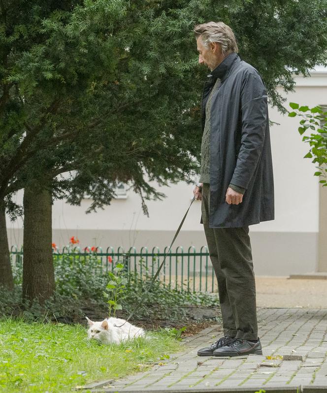 Poseł Lewicy Maciej Gdula wybrał się z kotem na spacer