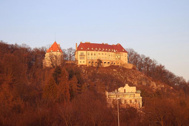 To jedyna taka willa w Krakowie. Znajduje się w lesie, widać z niej nawet Tatry