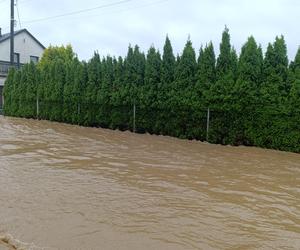 Zagrożenie powodziowe. Głuchołazy. Woda przelała się przez wały. Zalewa miasto