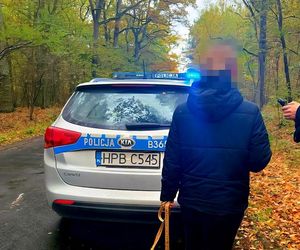 Zgubiła się na grzybach i długo błądziła w lesie