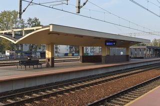 PKP ogłaszają wielkie inwestycje. Te punkty na mapie Mazowsza obejmą