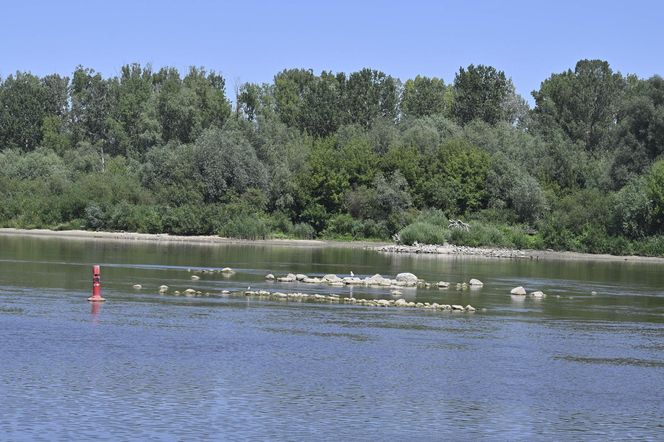 Niski stan wody w Wiśle