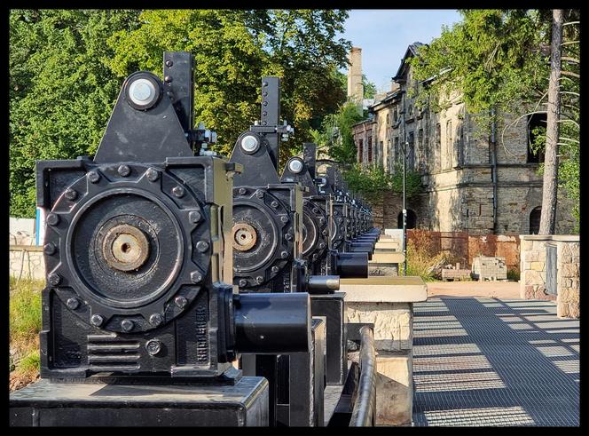 Burmistrza Wąchocka Jarosława Sameli - pasja fotografowanie