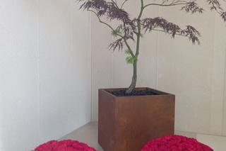  Piotr Woźniak-Starak tak wygląda jego grób w 4 rocznicę  śmierci 