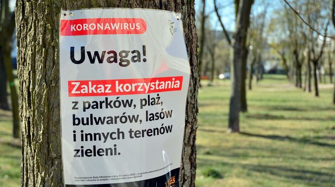 Tak wyglądała Warszawa w trakcie lockdownu