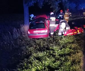 Utracił panowanie nad pojazdem i uderzył w drzewo