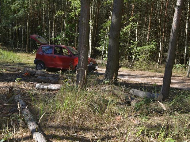 Złodzieje drewna wpadli w Kujawsko-Pomorskiem. Ładowali opał do seicento