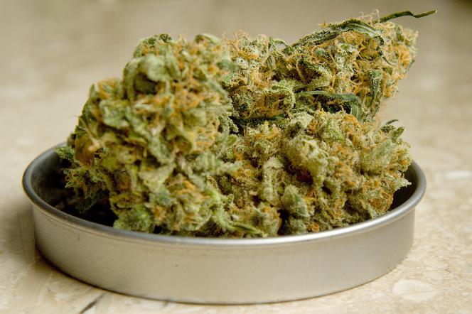 Marihuana znaleziona przy nastolatkach, zdjęcie ilustracyjne