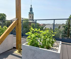 Ale miejsce! Letnia czytelnia na dachu biblioteki w Lesznie prawie gotowa