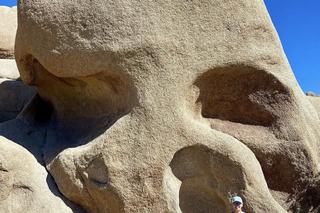 Anita Werner zniknęła z Faktów. Spełnia swoje marzenie 