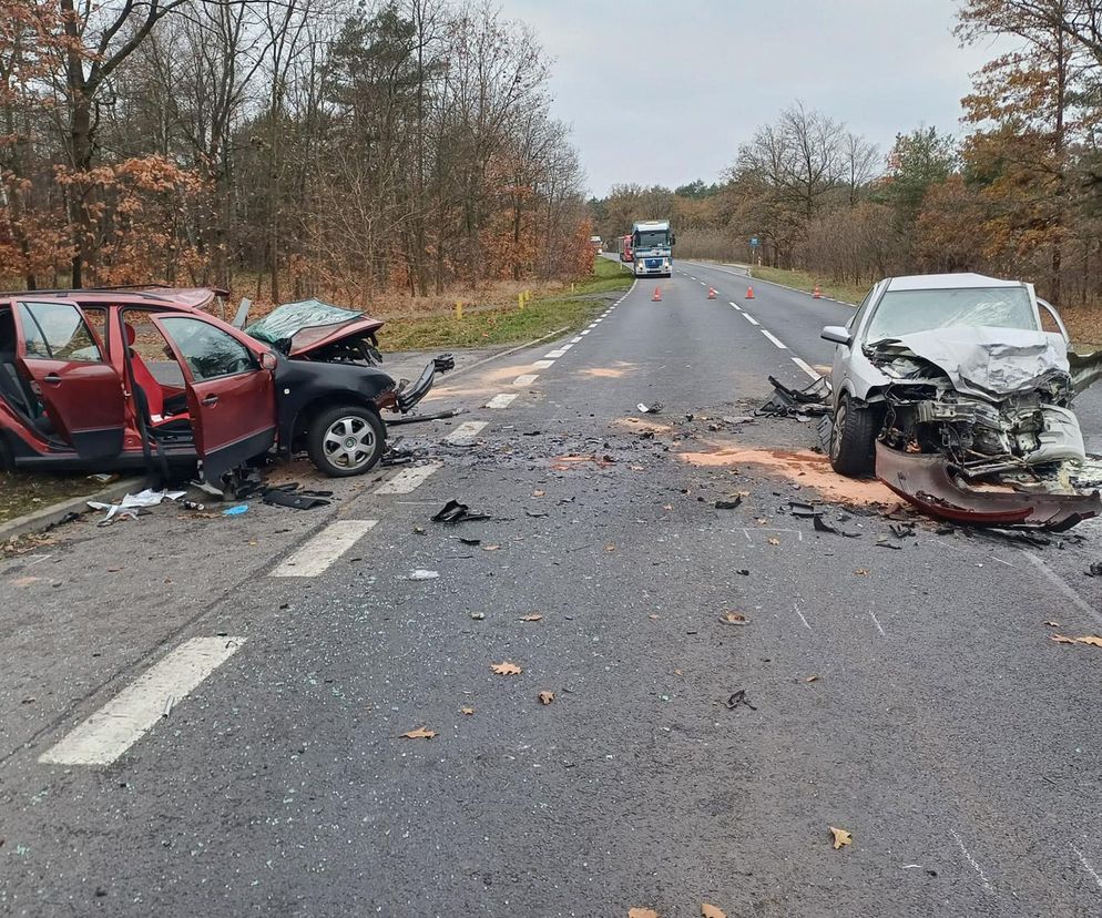 Fatalny wypadek na DK27! Pięć osób, w tym dwoje dzieci, zabrały karetki. Dramat pod Zieloną Górą