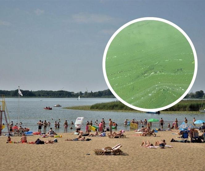 W Rudniku znów można się kąpać. Po sinicach w Grudziądzu ani śladu! 