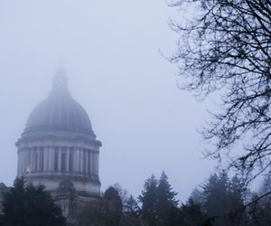 Dziwna mgła krąży po świecie? Teorie konspiracyjne w sieci