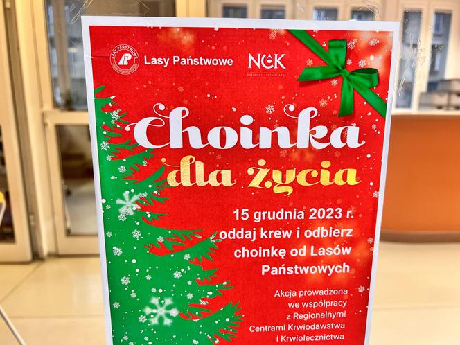 Akcja "Choinka dla życia" w Krakowie