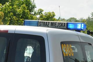 Gdańsk: Straż miejska nauczy rowerzystów, czym jest drogowy savoir-vivre