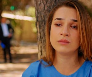 Miłość i nadzieja odc. 262. Kuzey, Sila