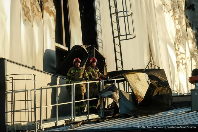  Kawle. Pożar zakładu przetwórstwa drobiowego. 120 strażaków walczy z żywiołem w czwartek, 14 sierpnia. Jeden z nich zaginął [ZDJĘCIA]