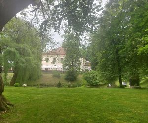 Zamek Dubiecko
