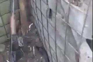 Ukraiński żołnierz stanął na nogi dzięki Polakom. W takich warunkach walczył [GALERIA]