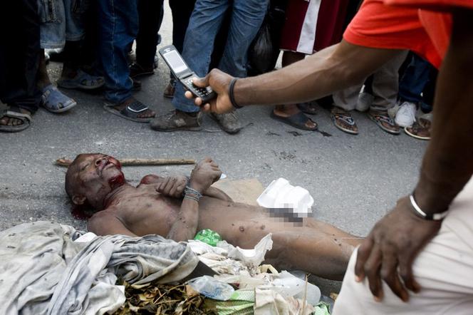 Haiti: Szabrownik ukarany