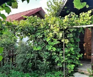 Policja przerwała libację w domku letniskowym. Biesiadników zdradził huk tłuczonego szkła