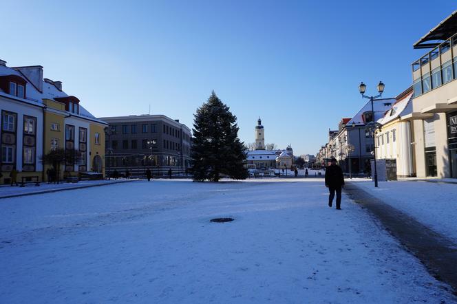 Choinka stanęła w centrum Białegostoku. 12-metrowa atrakcja gotowa na Boże Narodzenie