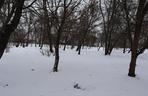 Park Ludowy 