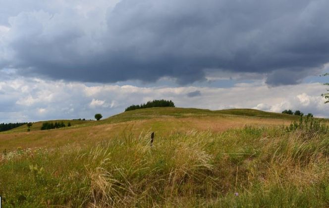 Ozierany Małe na Podlasiu