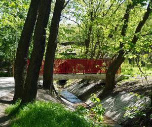 Tak wygląda park w dolinie Ślepiotki w Katowicach