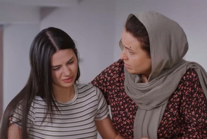 Miłość i nadzieja, odcinek 268: Cavidan, Bahar