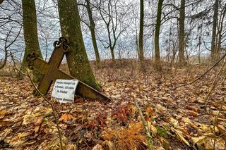 Tak wygląda XIX-wieczny cmentarz ewangelicki w Bynowie