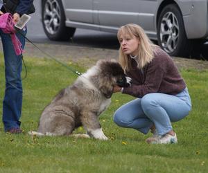 V Międzynarodowa Wystawa Psów Rasowych w Bydgoszczy [ZDJĘCIA]