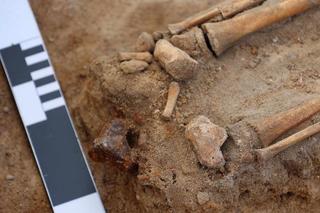 Kolejny intrygujący grób naukowcy odkryli w Pniu pod Bydgoszczą. To tzw. pochówki antywampiryczne [GALERIA]