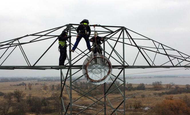 Montaż platformy lęgowej dla rybołowów w Nadleśnictwie Kliniska w okolicach miejscowości Inoujście 