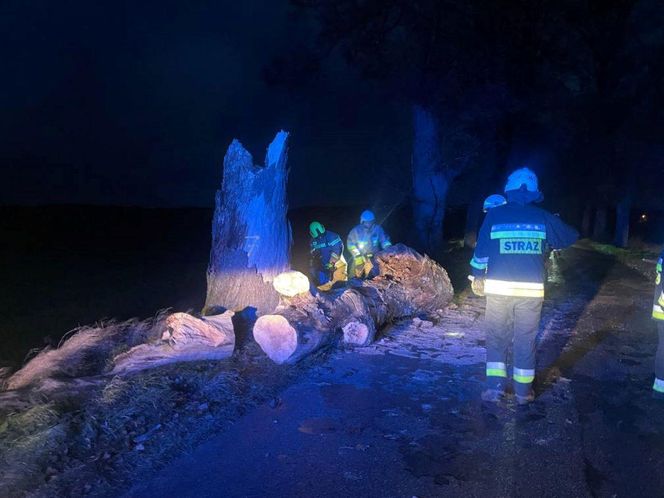 Wichura zmiotła drzewo na samochód. Ojciec i córka poszkodowani