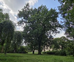 Spacer przez muzyczne serce Bydgoszczy. Park Kochanowskiego zachwyca historią i klimatem