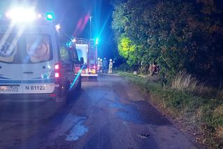 Tragiczny wypadek pod Elblągiem. Nie żyje 17-letnia dziewczyna [ZDJĘCIA]