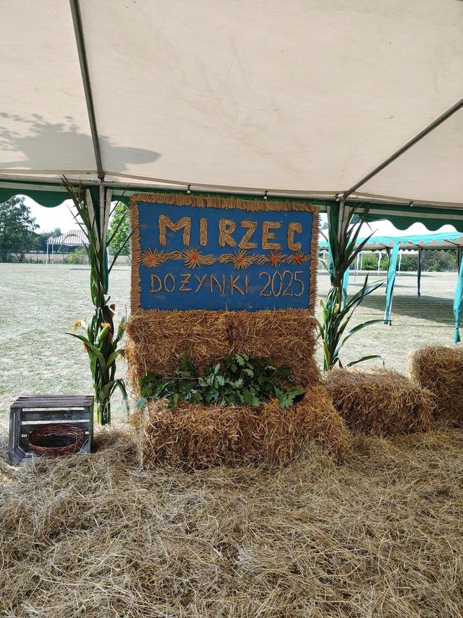 Dożynki w Gminie Mirzec. Tradycja i nowoczesność