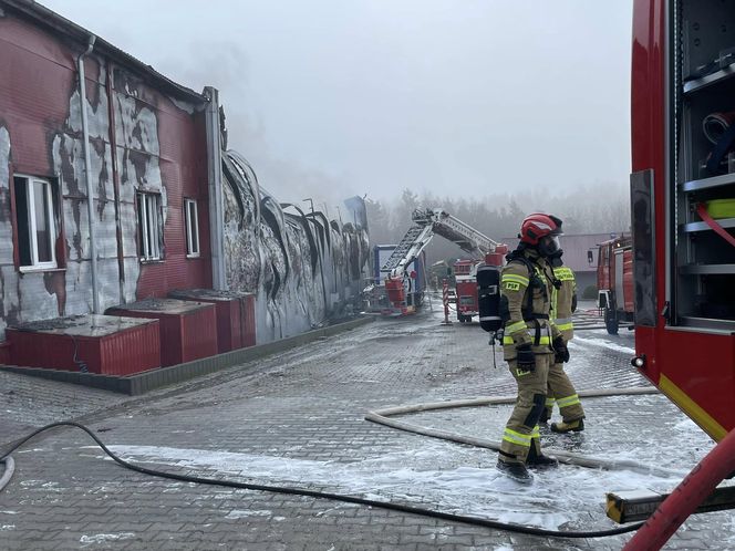 Potężny pożar pustoszy halę w woj. lubelskim