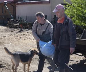 Rolnicy. Podlasie, odcinek 24 (sezon V)