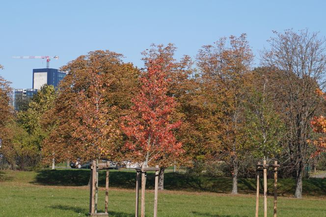 Park im. św. Jana Pawła II w jesiennych barwach