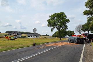 Tragiczny wypadek na DK 42. Wśród ofiar jest sołtys wsi Rzejowice. Jechała z synem i wnuczętami