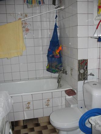 Zdjęcie 7381