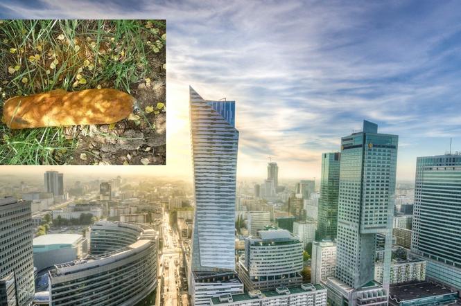 Warszawa: Granat na Białołęce! Znaleziono niewybuch z czasów II wojny światowej