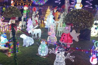 Griswoldowie z Dolnego Śląska. Najbardziej świąteczny dom mieni się tysiącami lampek 