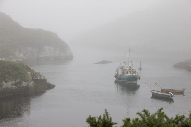 Kadr z filmu "Ondine"