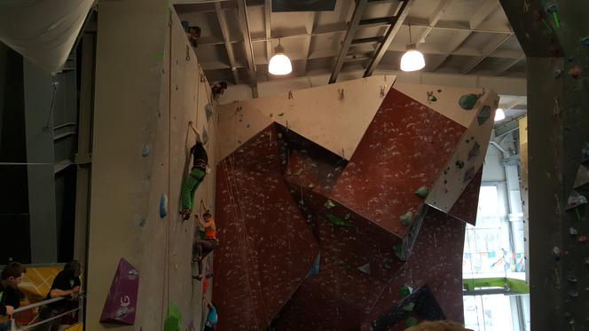 Akademickie Mistrzostwa Polski we wspinaczce sportowej