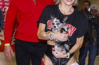 Dariusz Pachut już tak nie wygląda! Ukochany Dody jest nie do poznania!