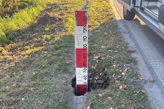 Warszawa. Bóbr wykopał norę przy jezdni! Droga groziła osunięciem