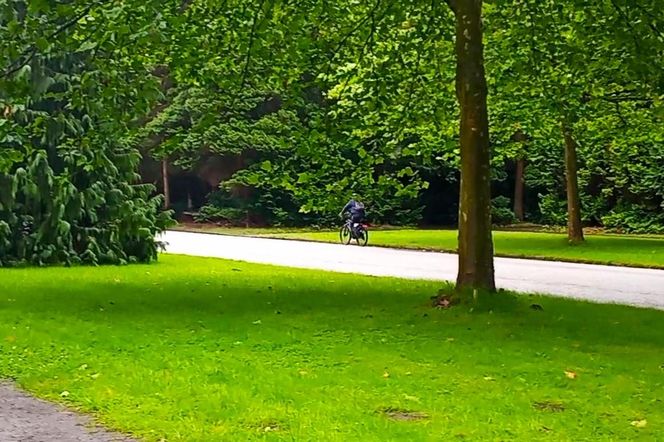 Ohlsdorfer Friedhof w Hamburgu